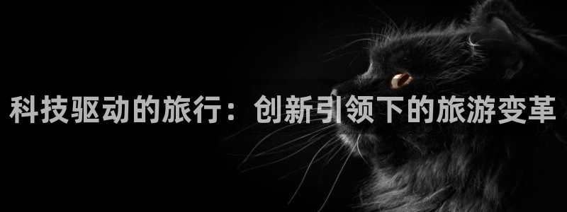 海角社区女儿：科技驱动的旅行：创新引领下