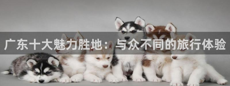 “海角社区精品：广东十大魅力胜地：与众不同