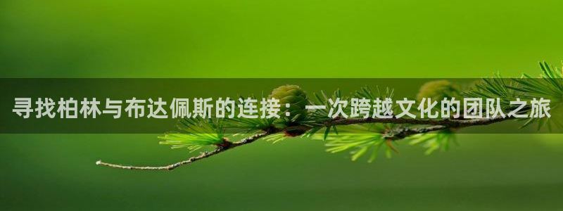 “91成人海角社区：寻找柏林与布达佩斯的连