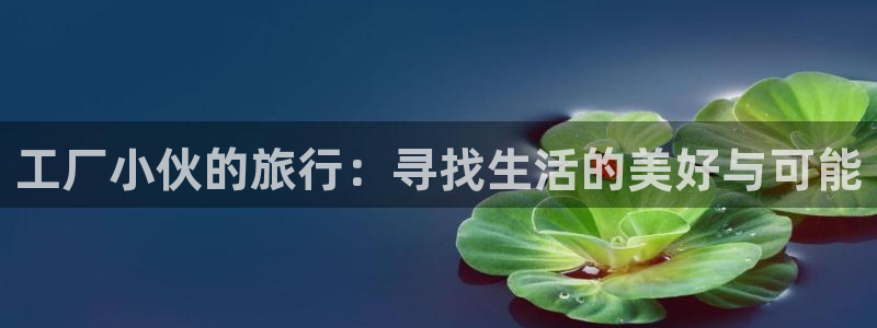 “海角社区免费视频播放：工厂小伙的旅行：寻