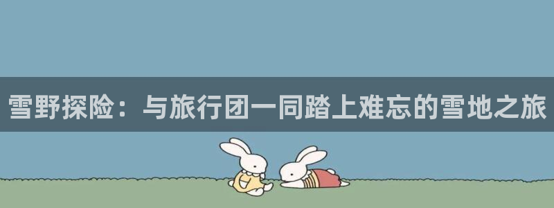 海角社区破解：雪野探险：与旅行团一同踏上