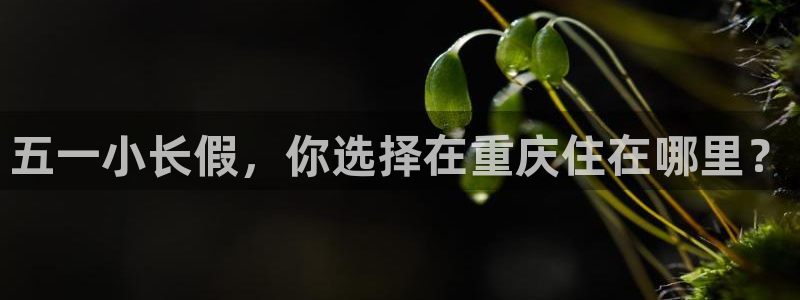 海角社区帖子：五一小长假，你选择在重庆住